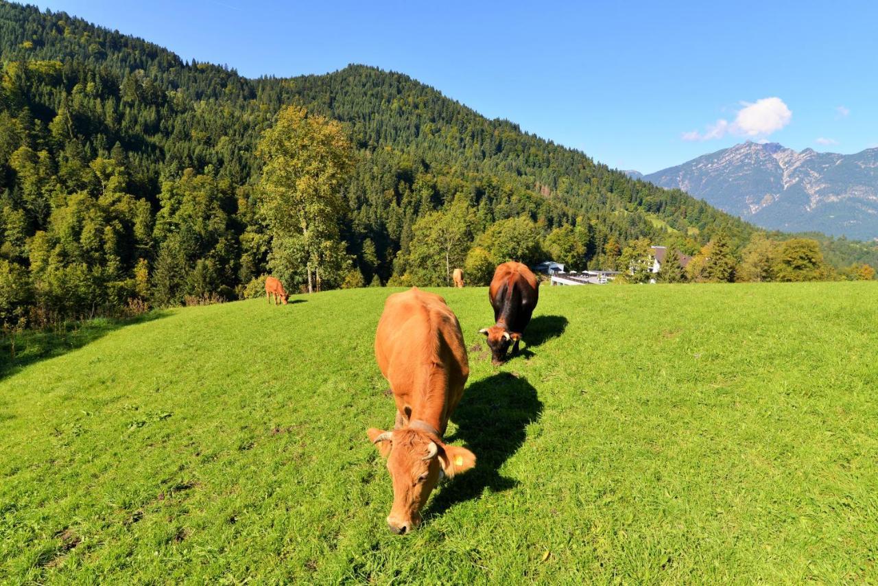 Das Graseck - Mountain Hideaway & Health Care Garmisch-Partenkirchen Zewnętrze zdjęcie